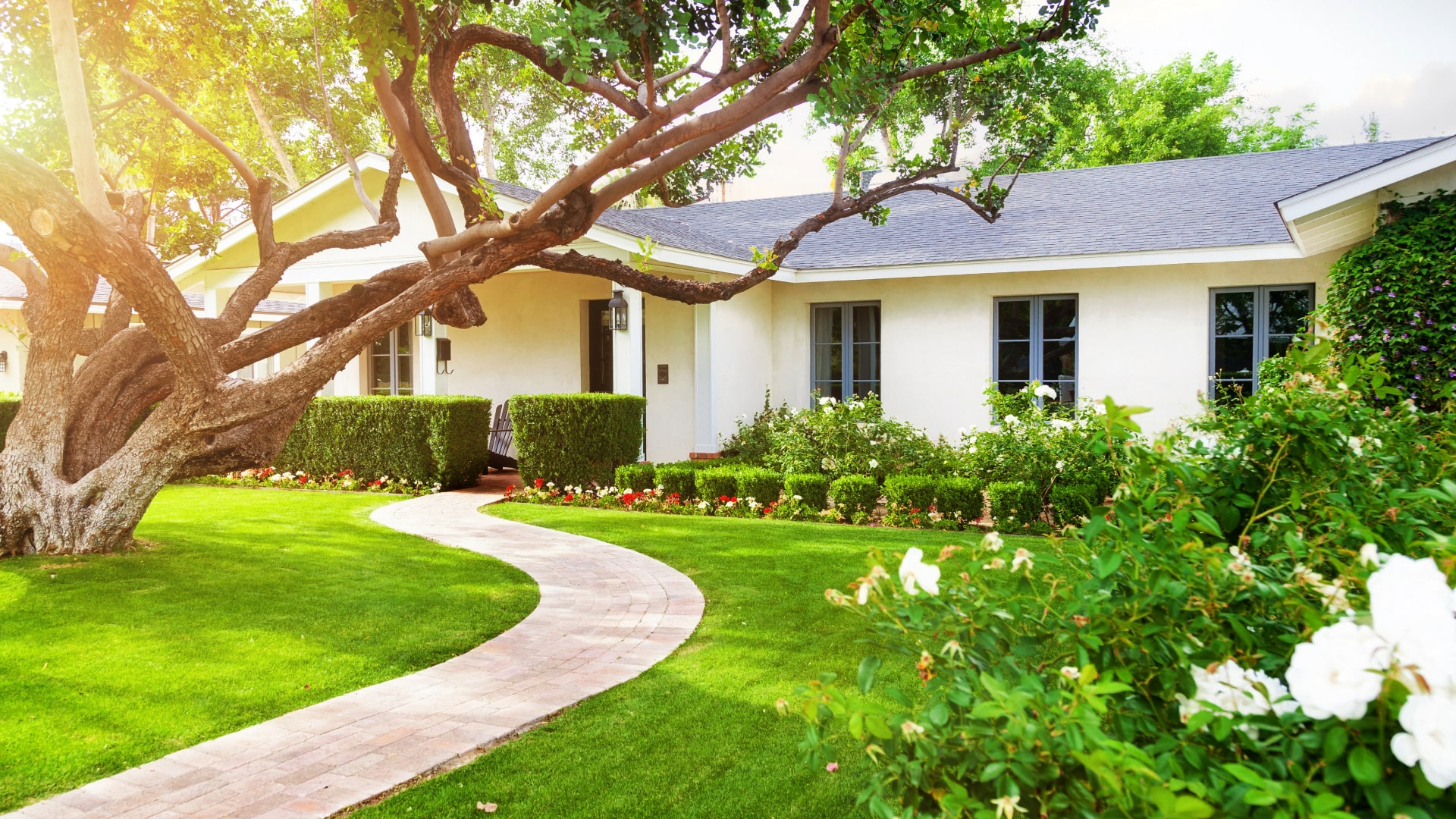 beautiful house yard