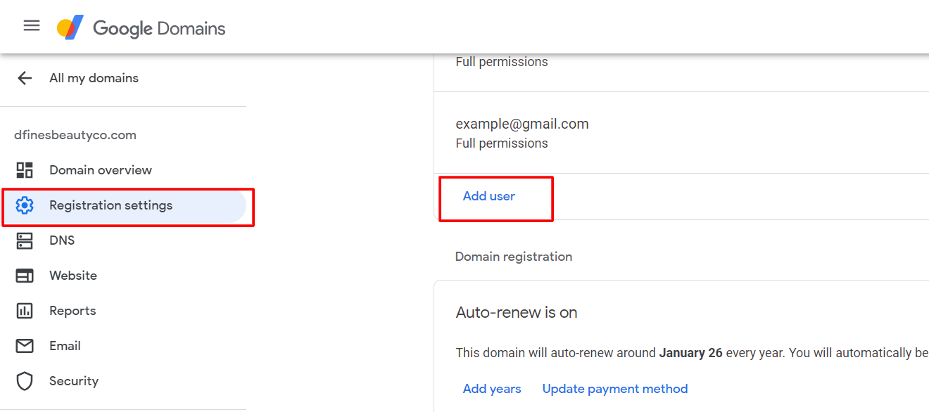 Google domain settings