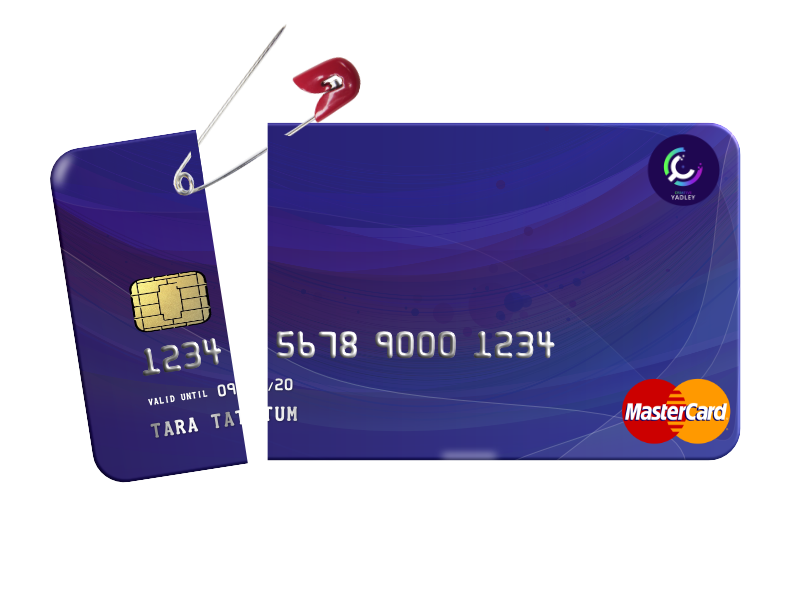 Professional Credit Repair