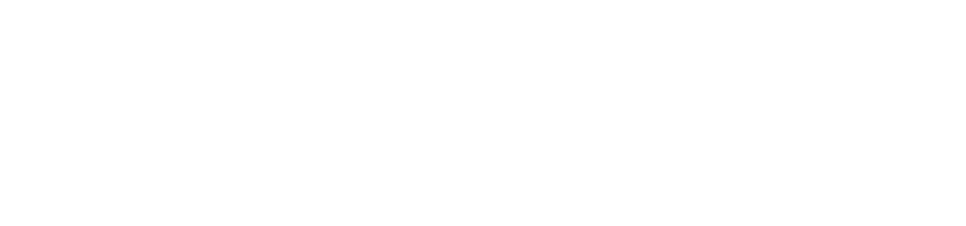 Zoom Logo